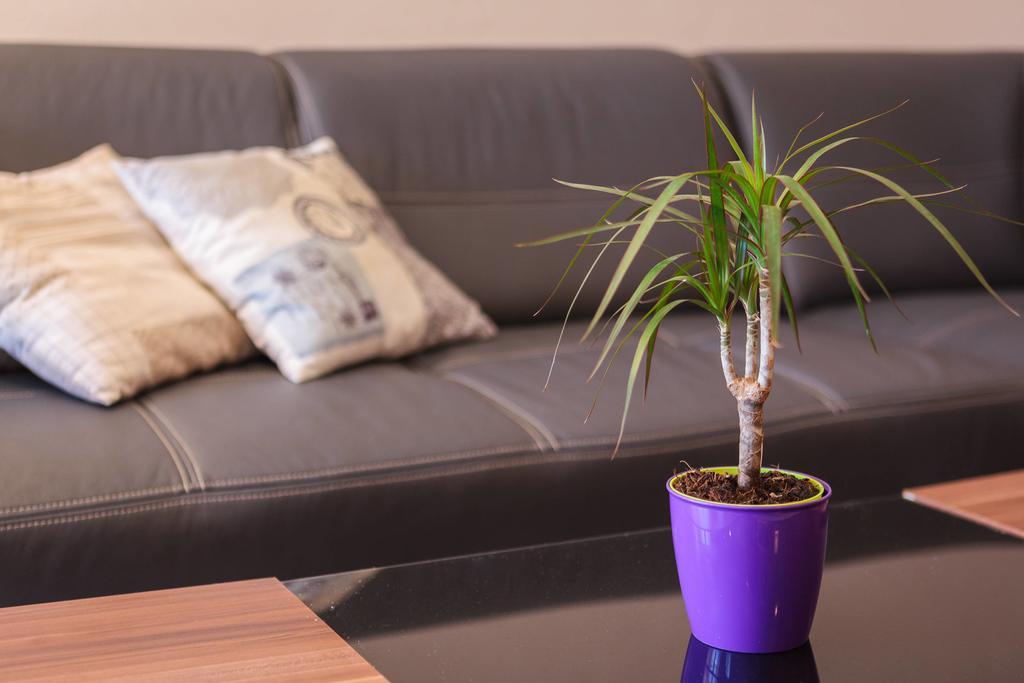 Apartments Judita Супетар Экстерьер фото